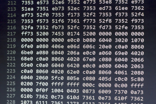 Binary file data in hexadecimal numbers. Computer programming abstract screen. Digital technology modern background.