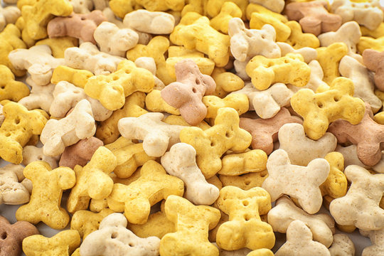 Goldfish Crackers: The Surprising Danger for Dogs - Can Dogs Have Goldfish? Learn why they're not safe, what symptoms to look out for and how to prevent accidental poisoning