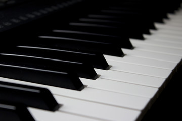 Piano keys standing still in a diagonal shot