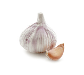Fresh garlic on white background