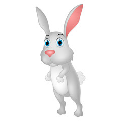 Cute rabbit cartoon