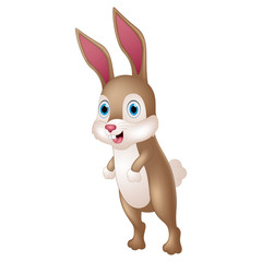 Cute rabbit cartoon
