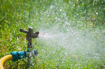 Fototapeta na wymiar Sprinker watering lawn with yellow tube on a sunny summer day irrigating green grass