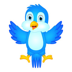 Cute bird cartoon