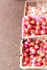 Fresh vegetables, sold at economical prices in the market morning, vegetable from gardener.