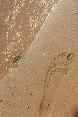 Footprints in the sand near the coastline