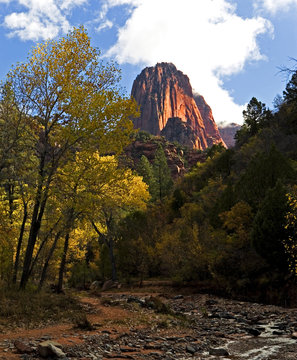 Taylor Creek In Zion National Park, Utah