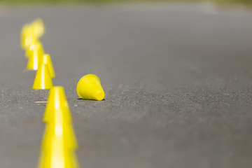 Cones for slalom on roller skates stand on asphalt, inline