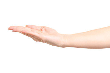 Female hand empty showing on white background isolation