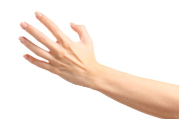 Female hands empty holding on a white background isolated