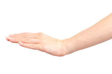 Female hand empty show low level on white background isolation