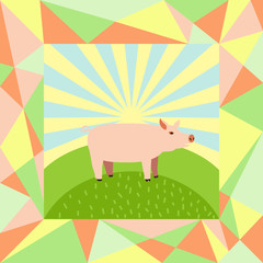 pig on a sunny background