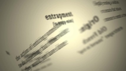 Definition: Entrapment 