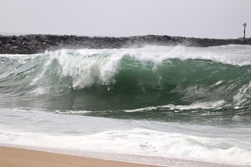 Large powerful wave crashing on the shore