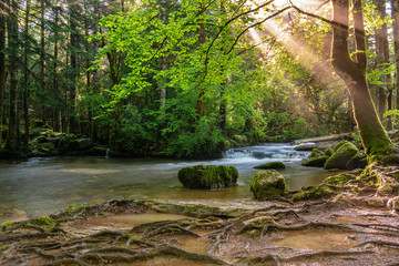 Fototapeta na wymiar French landscape - Jura. Small river in the Jura mountains with sunbeams shining through tree.