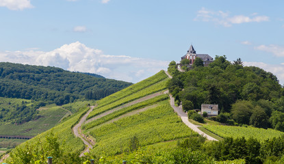 Marienburg am Prinzenkopf an der Mosel Deutschland