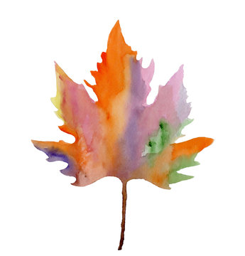 bright autumn leaves, watercolor, white background