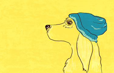 Pies w niebieskim kapeluszu - 210210572