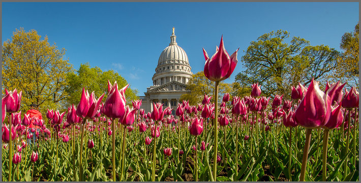 Spring Time at the Capitol