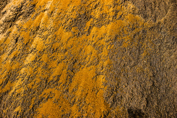 Golden sand mixed with gray