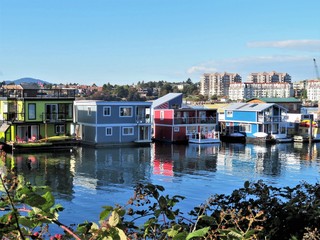 Houseboats on the water in Victoria, BC - 210214709