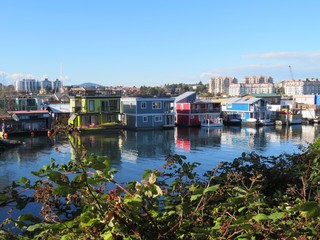 Houseboats on the water in Victoria, BC - 210214737