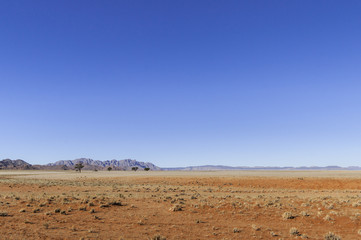 Fototapeta na wymiar Landscape in the Namib Desert / Landscape in the Namib Desert, Namibia, Africa.