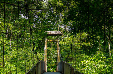 Brücke in den Regenwald, Guadeloupe, French Antilles