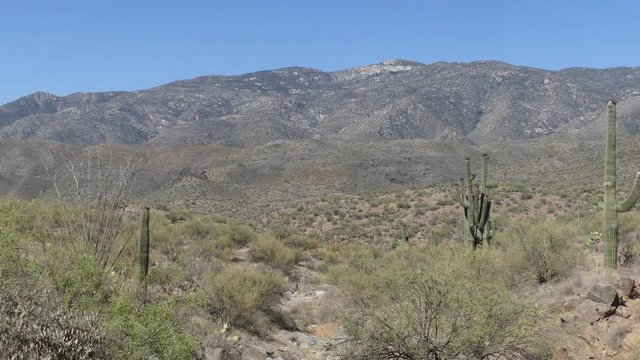 Arizona, Desert, A zoom out from a mountain in the desert near Bisbee, Arizona
