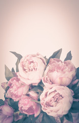 Bouquet of pink peonies. Faded image with space for text.