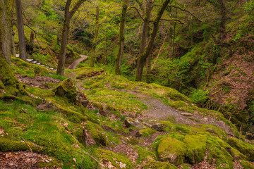 Fototapeta na wymiar Landscape in The Lake District National Park, Cumbria, England