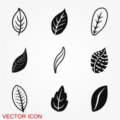 Leaf icon vector, isolated on background, various green leaves of trees and plants