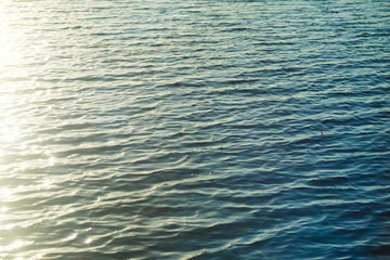 Background: the surface of the water.
