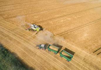 Getreideernte - Luftbild, Mähdrescher und Transportfahrzeuge