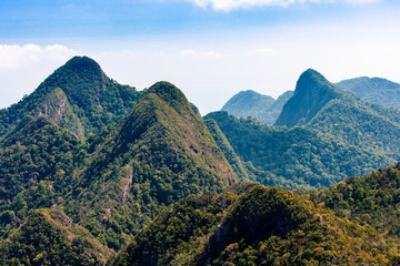 Naklejka premium Mountains with tropical green forest and blue sky, Langkawi island, Asia