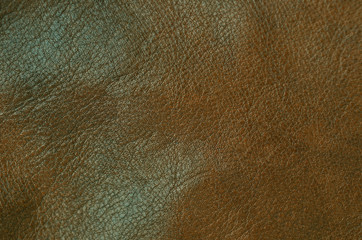 Natural leather background