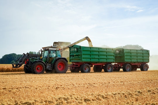 Getreideernte - Mähdrescher entreert während der Fahrt Getreide auf nebenher fahrenden Anhänger 