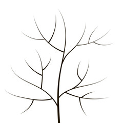 Fototapeta premium a contour of thin branches and a trunk of a simple black forest tree object isolated on a white background
