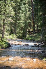 A river running through a forest near Vail, Colorado during summer. 