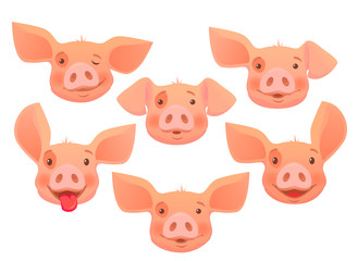 head of pink pig -set