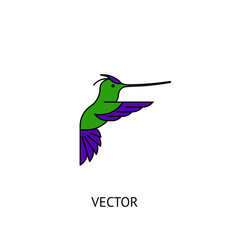 Colibri bird icon