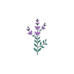 medicinal herb icon