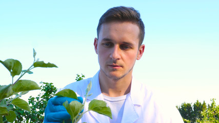 A young handsome (male) biologist or agronomist, takes analyzes of moisture leaves, dna, pipette,...