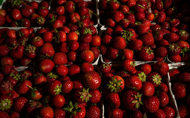 strawberries