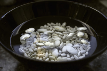 beans