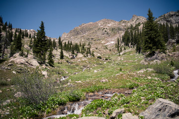 Fototapeta na wymiar Landscape view of the mountains around Booth Falls Trail near Vail, Colorado. 
