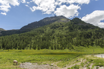 San Pellegrino Pass, Moena, Trentino Alto Adige, Alps, Dolomites, Italy: Landscape at the San Pellegrino Pass (1918 m).It's a high mountain pass in the Italian Dolomites. Summer landscape in the Alps.