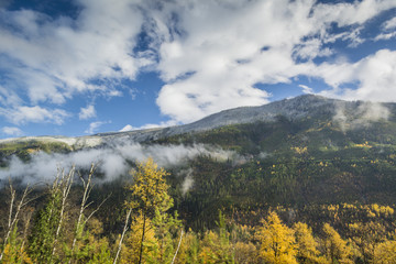 Beautiful mountain with white fluffy clouds and colorful autumn trees