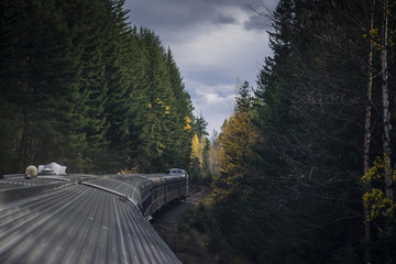 Train in autumn forest corridor