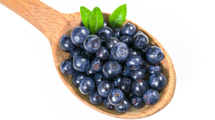 Dried Blueberry On White Background